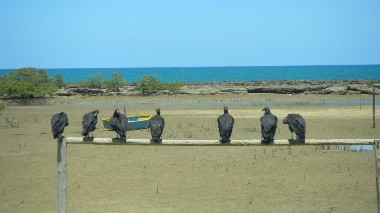 Residencial Praia Dos Corais Coroa Vermelha 外观 照片